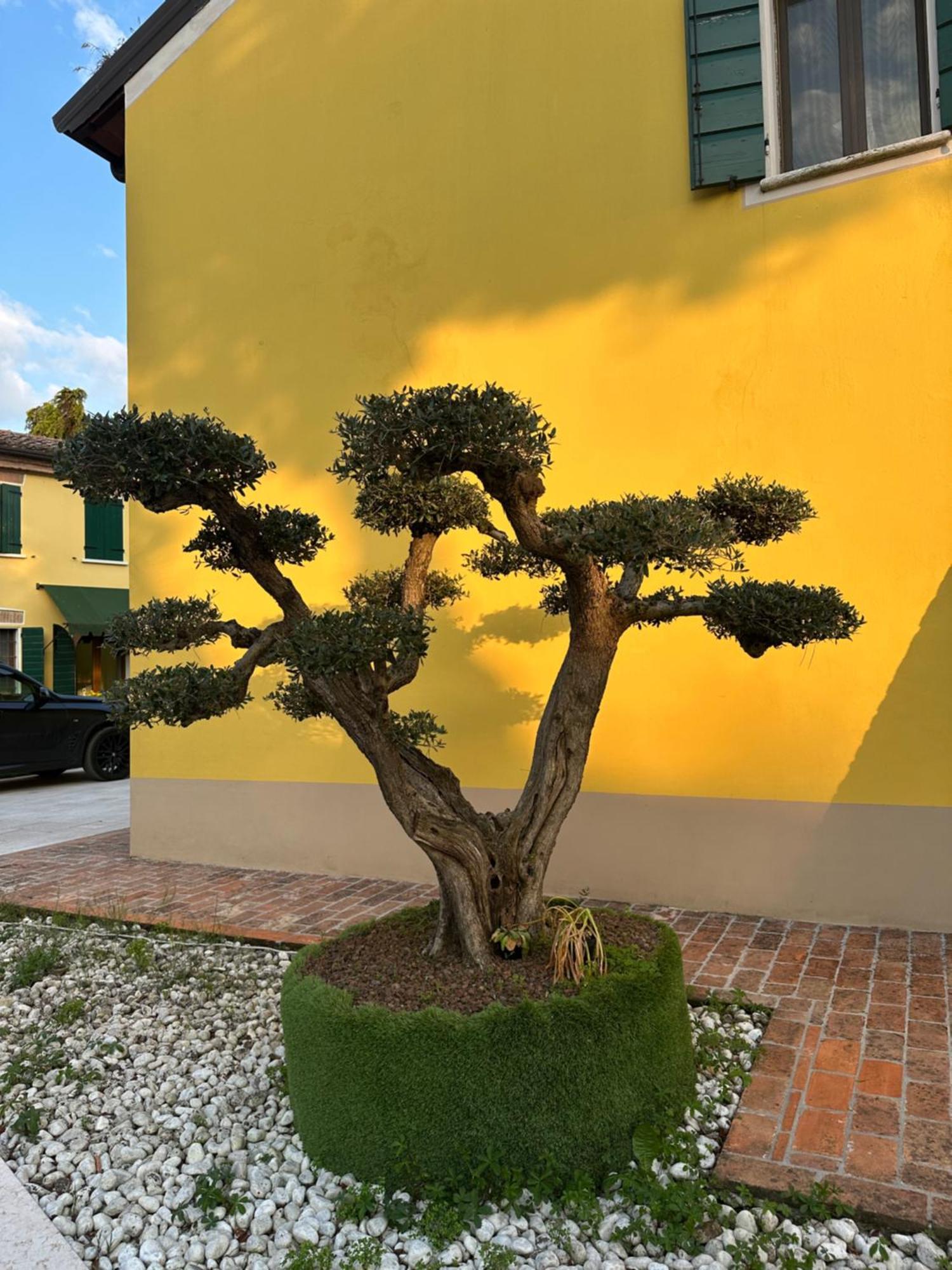 Agriturismo Corte Capiluppia Curtatone Exteriér fotografie