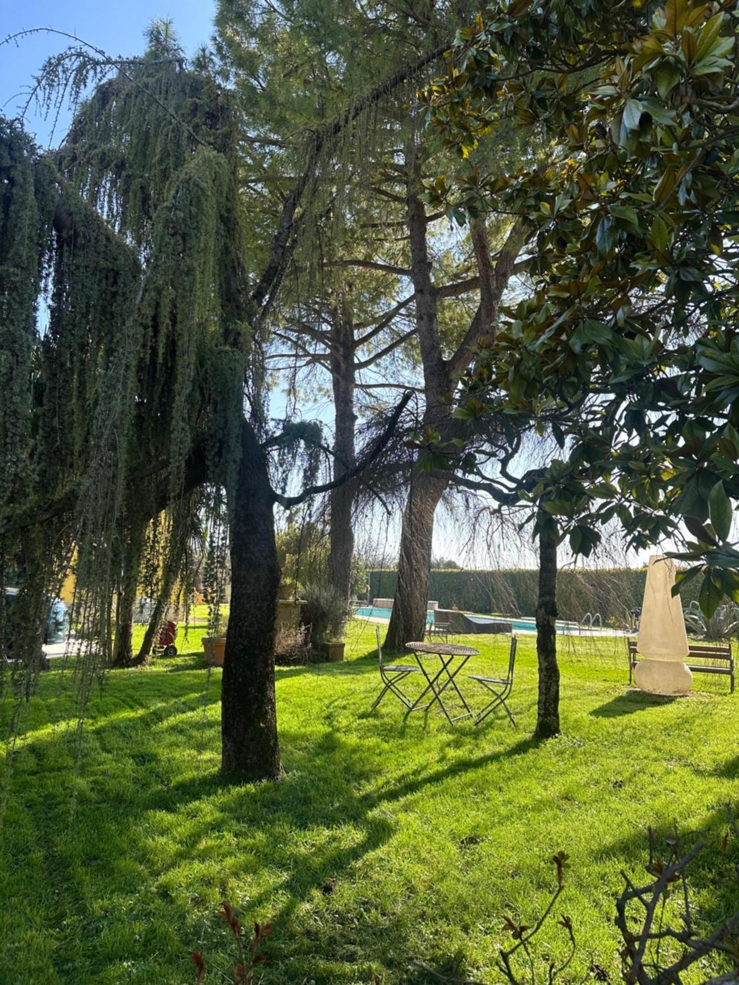 Agriturismo Corte Capiluppia Curtatone Exteriér fotografie